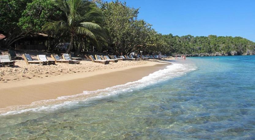 Willa Tropical Luxury Dreams Ocho Rios Zewnętrze zdjęcie